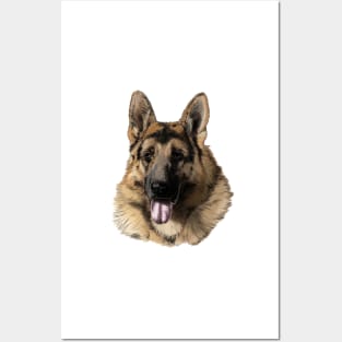 Schäferhund Posters and Art